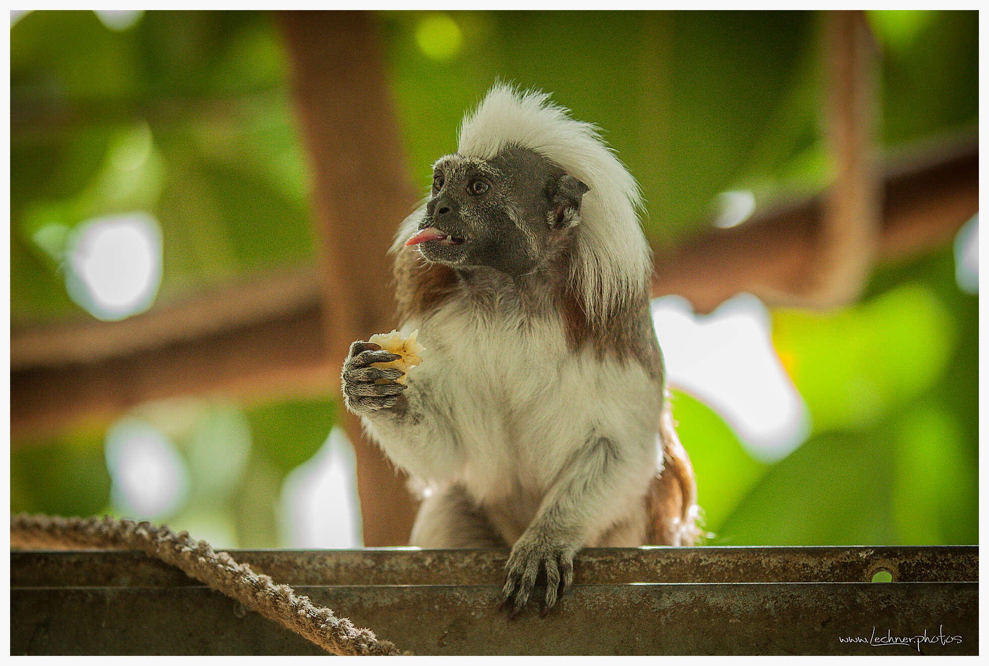 20140614 152220 IMG 0556