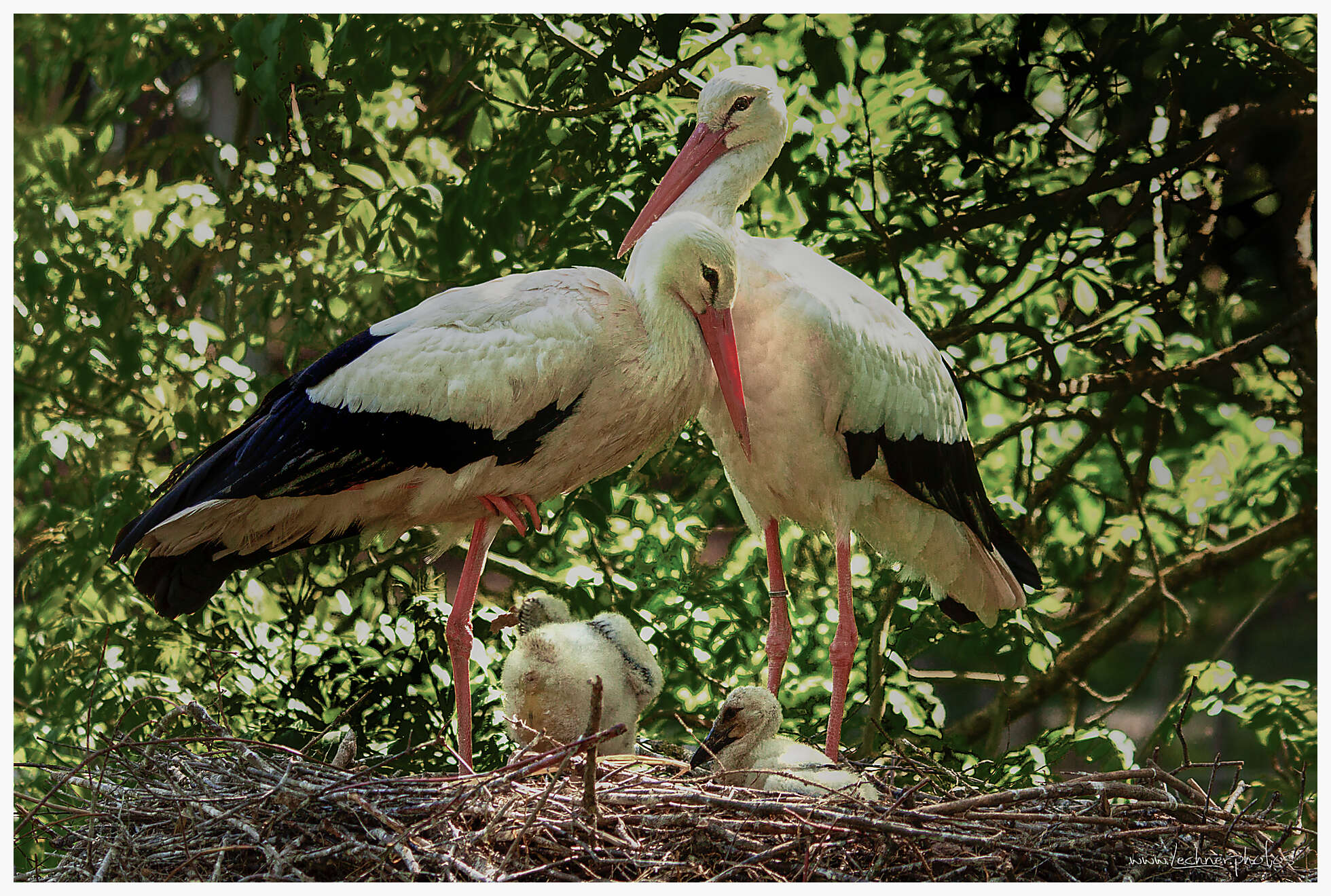 20160521 160041 IMG 0633 Bearbeitet