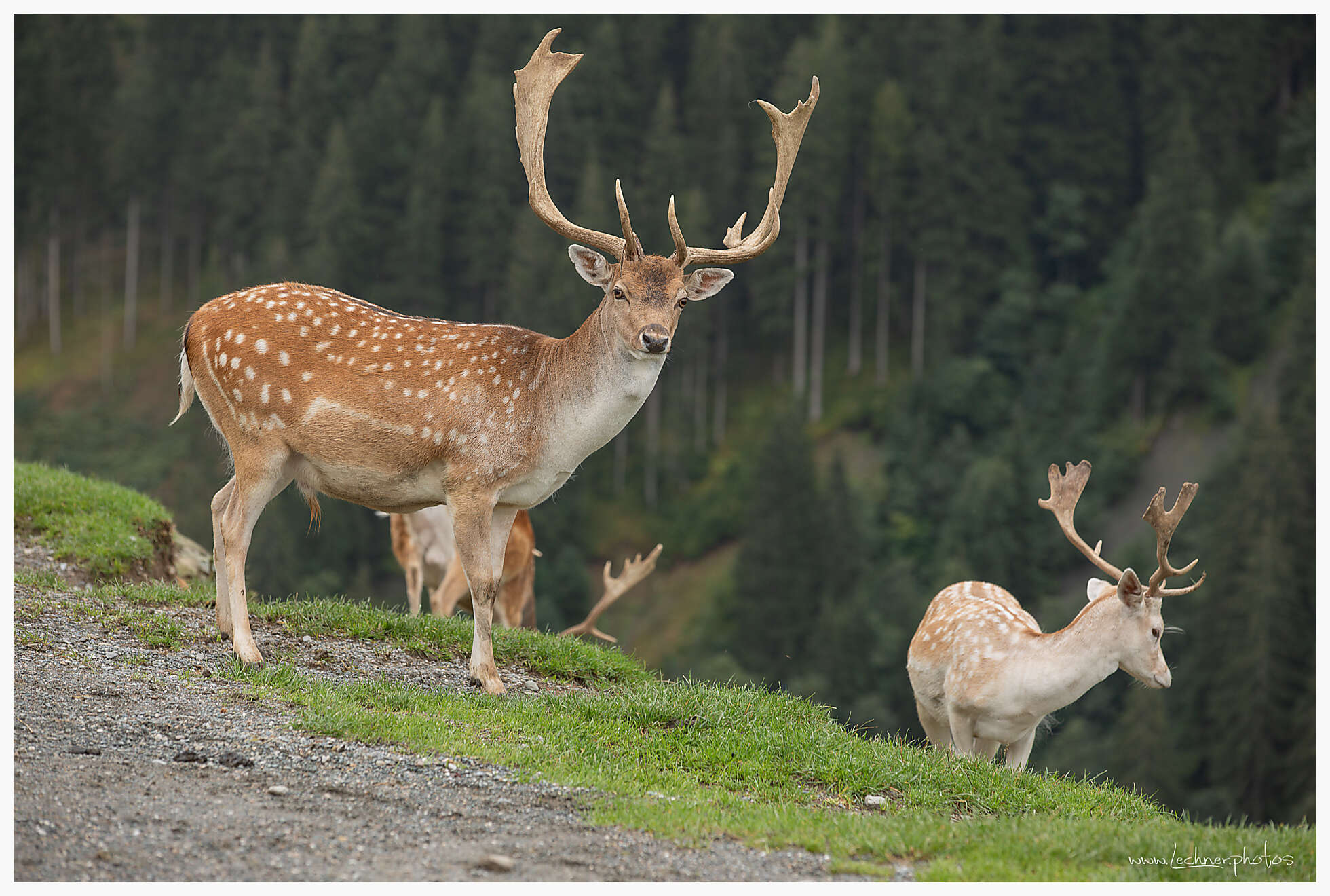 20180907 144720 949A1430