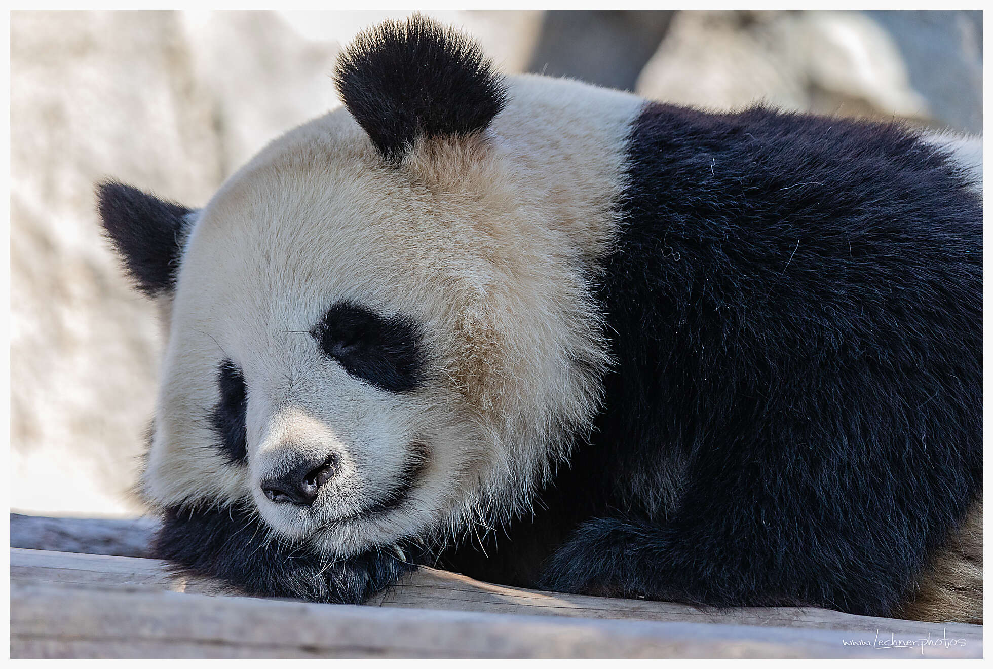 20210221 12 38 23  49A6963