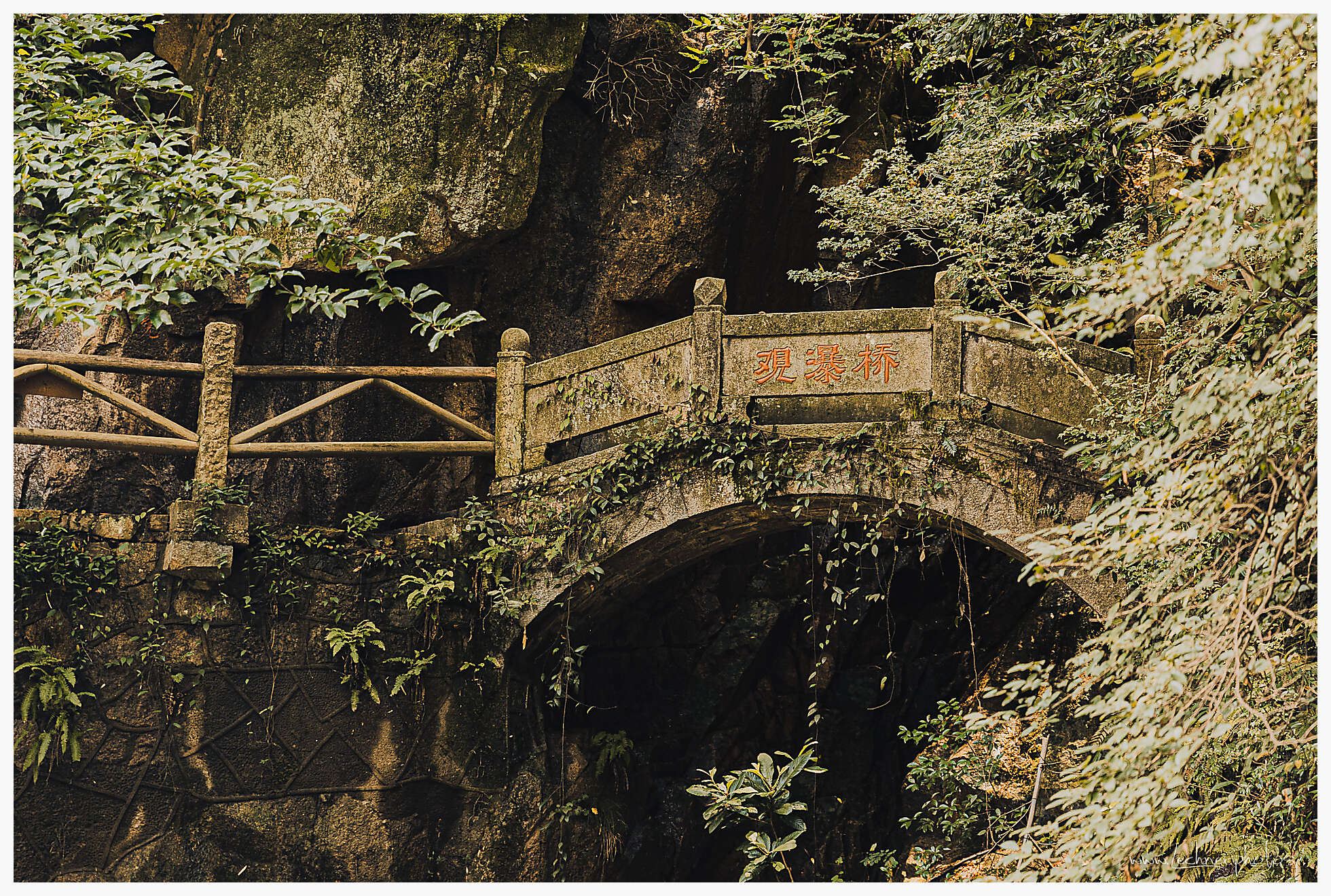 20190805 060943  49A8165