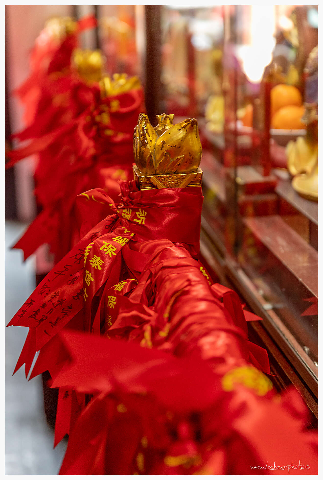 20190405 033953  49A5932