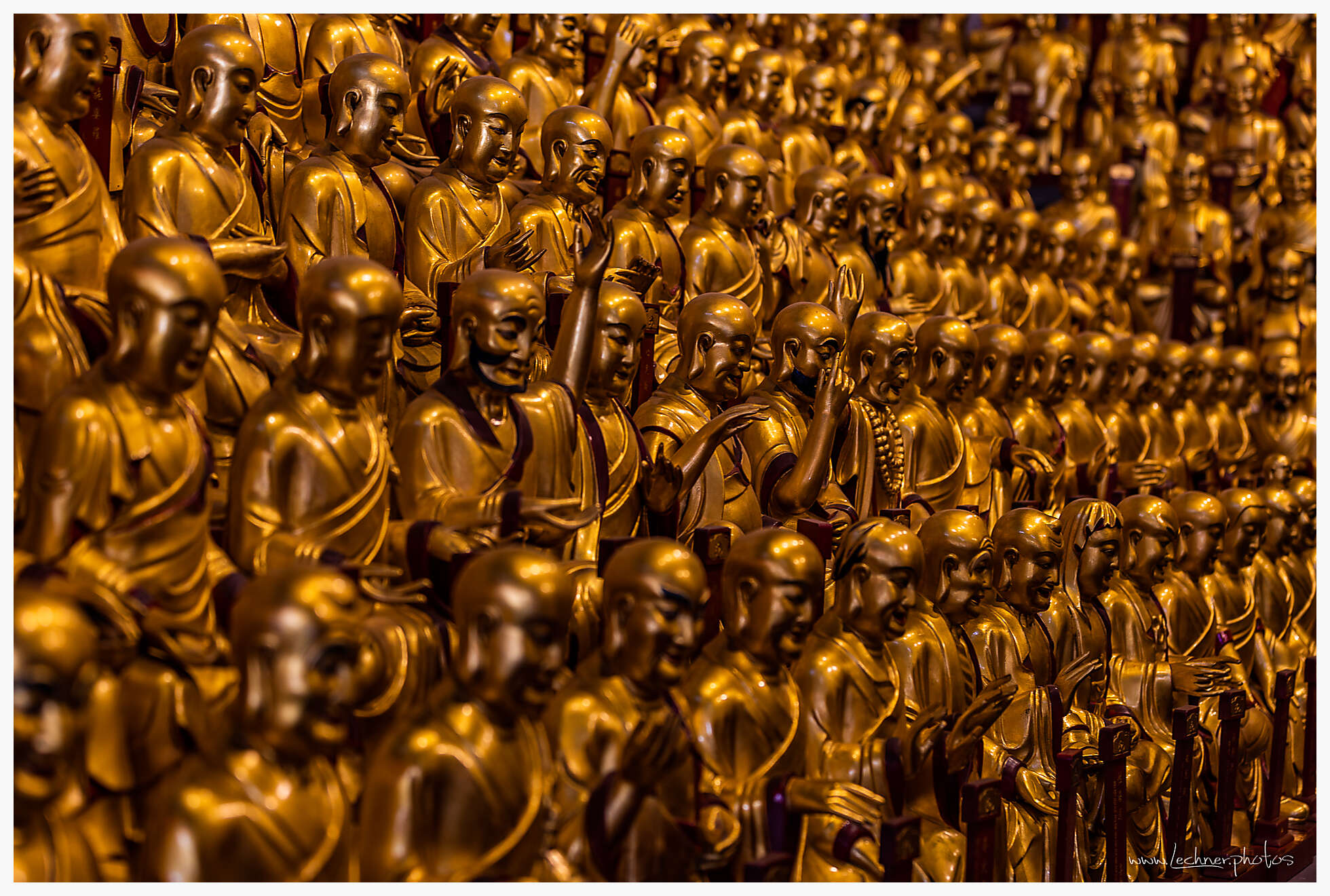 20190407 071031  49A6366