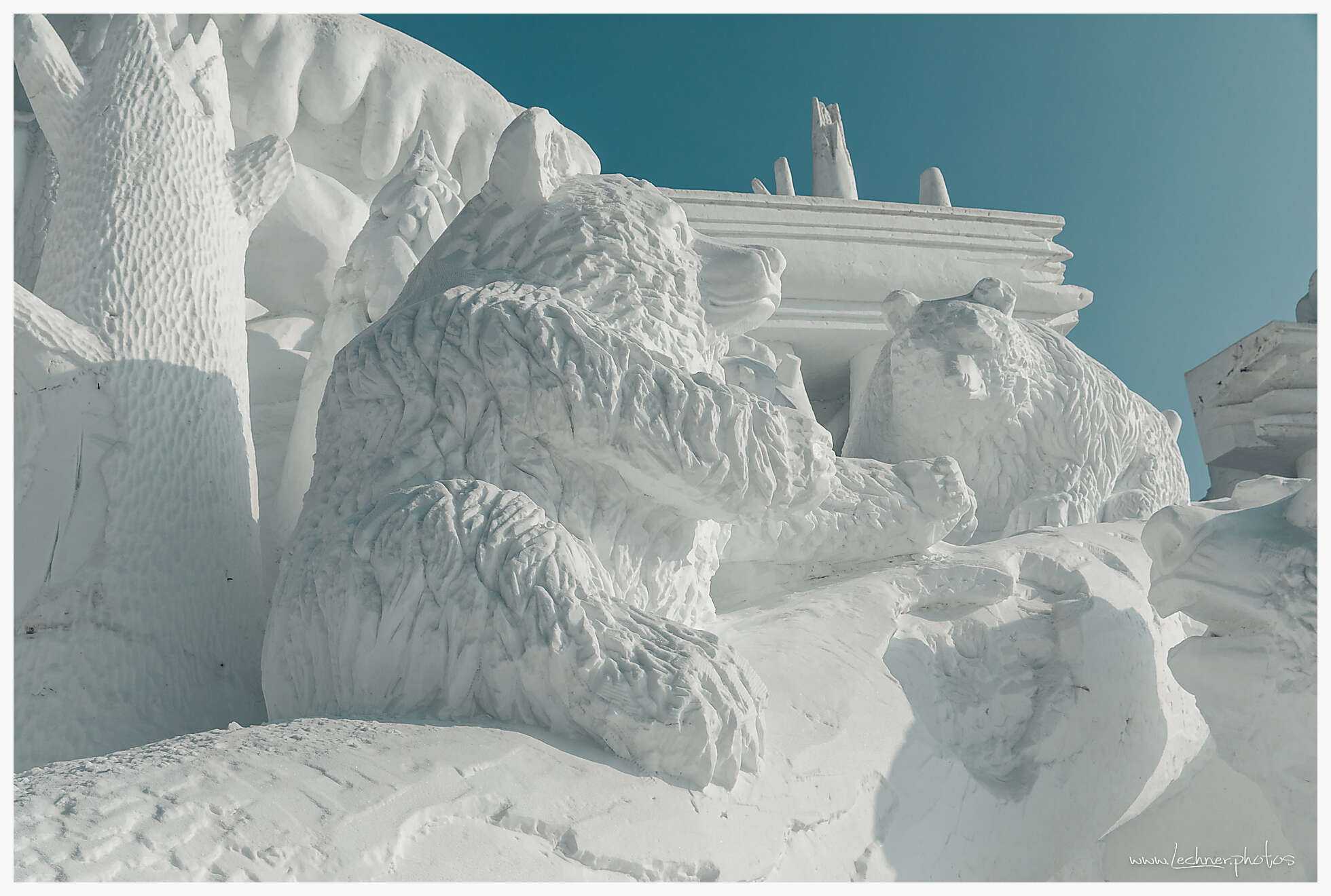 20200118 120541  49A3319