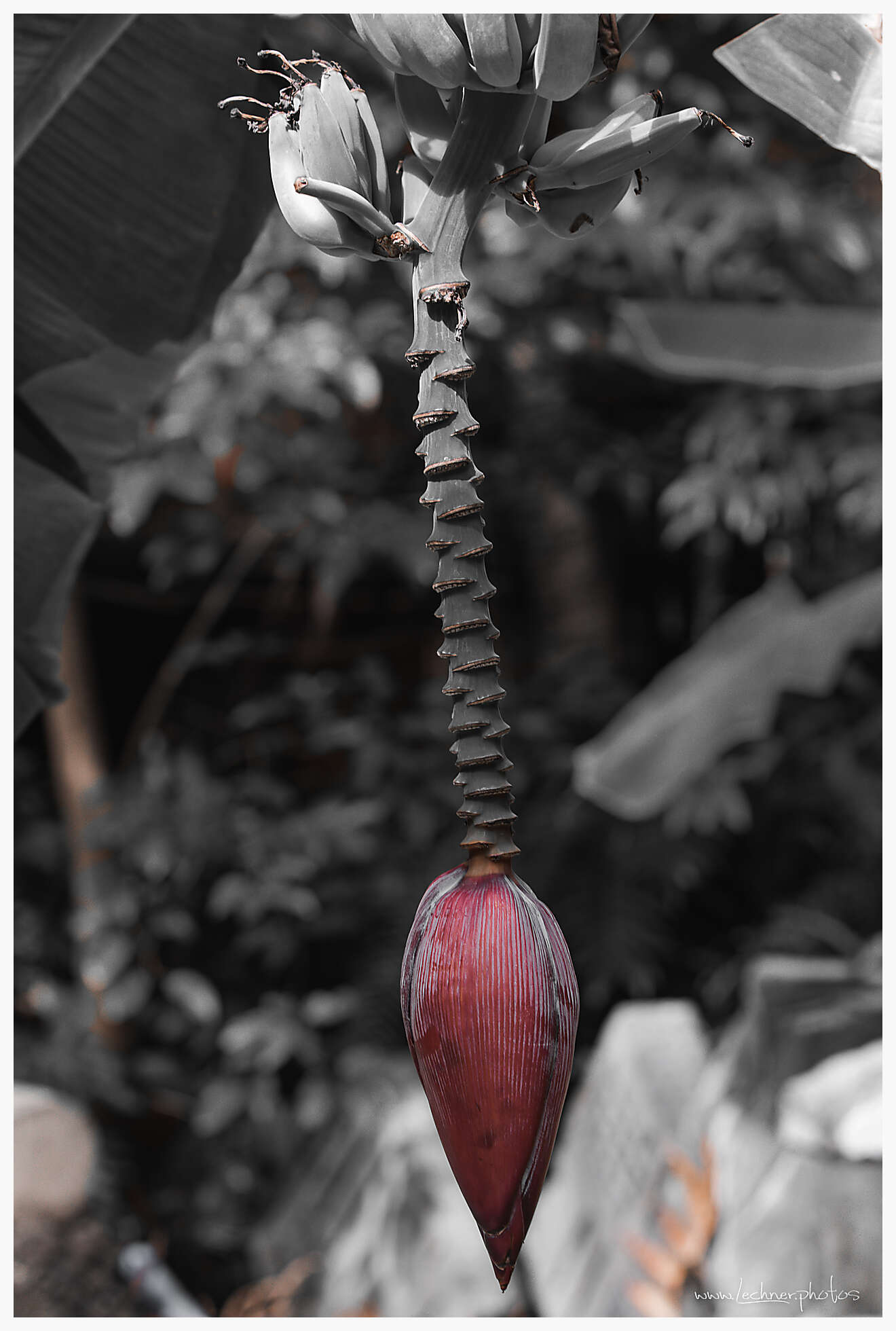 20201218 12 00 41  49A2106